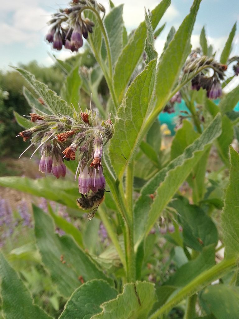 This image has an empty alt attribute; its file name is WhatsApp-Image-2023-10-07-at-15.20.00_3951d1dd-768x1024.jpg